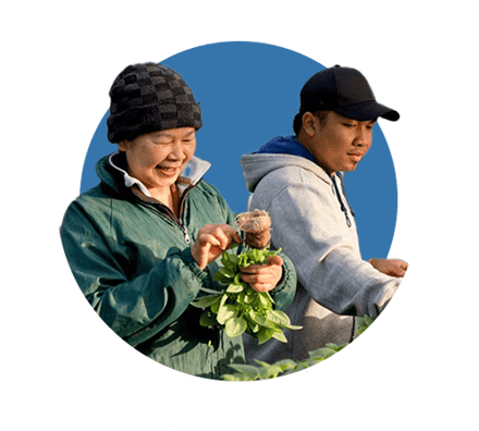 Agriculture Management Training